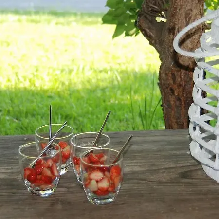 *appartement Elfie* Kaerntner Seen Apartament Velden am Wörthersee