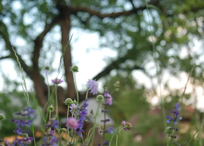 Apartament *appartement Elfie* Kaerntner Seen